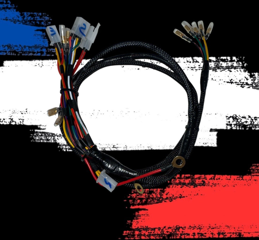 Faisceau Électrique Personnalisable